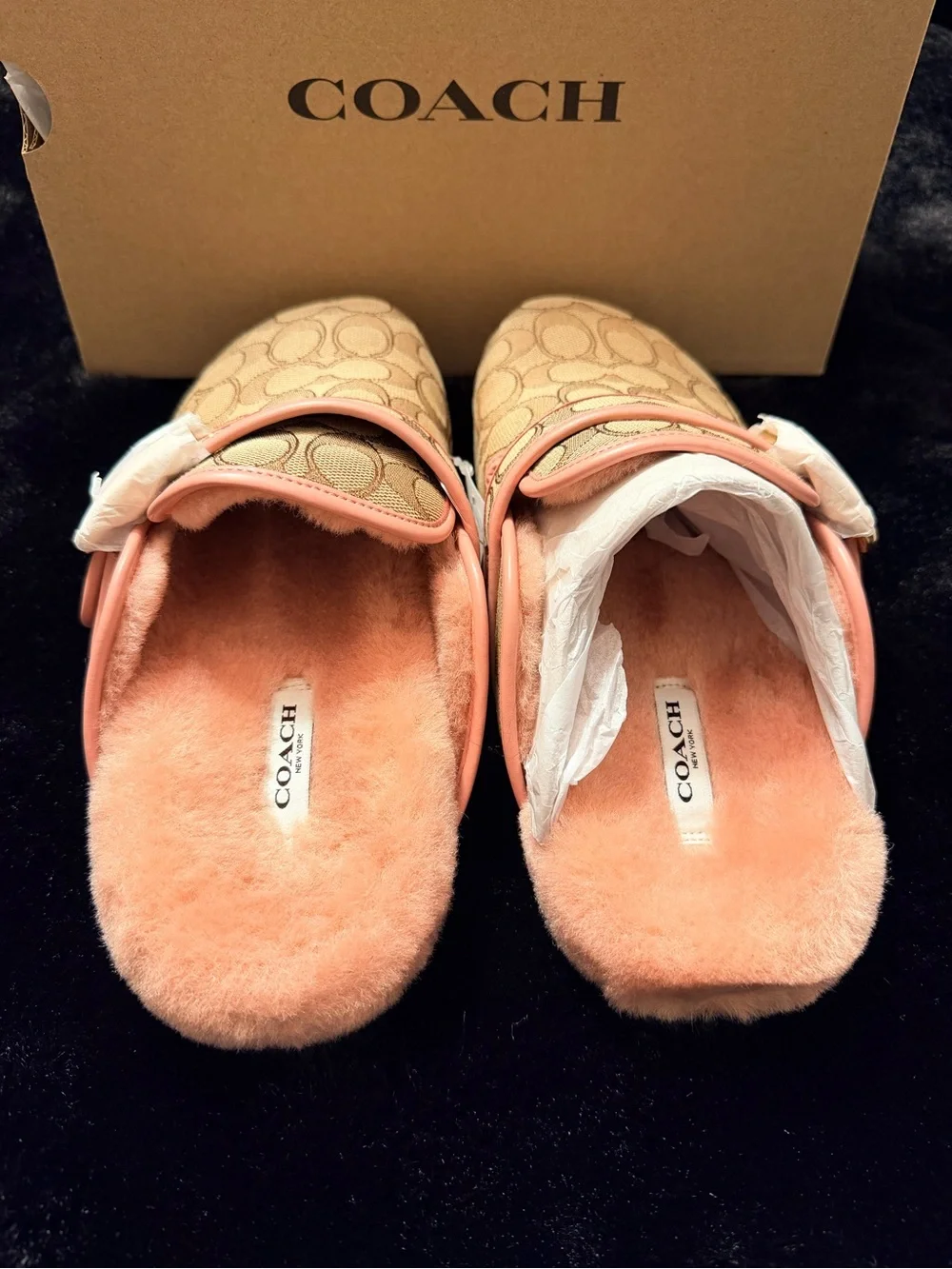Coach Ashton Clog Signature Jacquard Tan/Pink Petal Size 8 New Box CW680